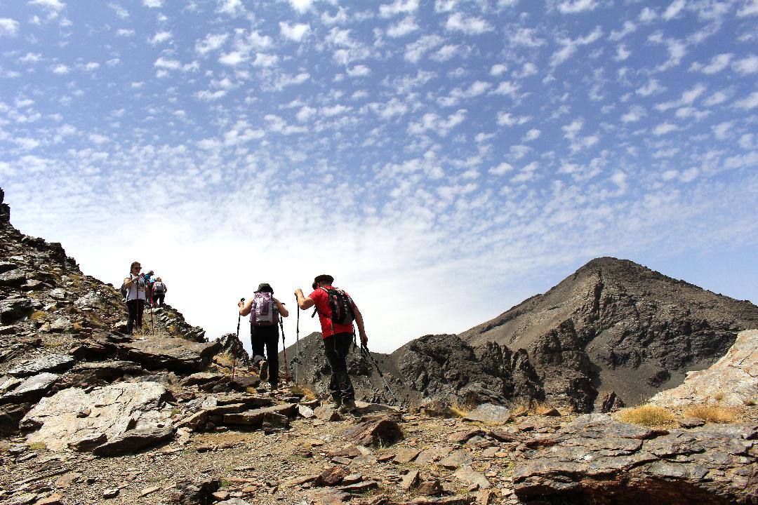 Fotos: Concurso de fotografía de la peña El Albondigón de Huétor Vega