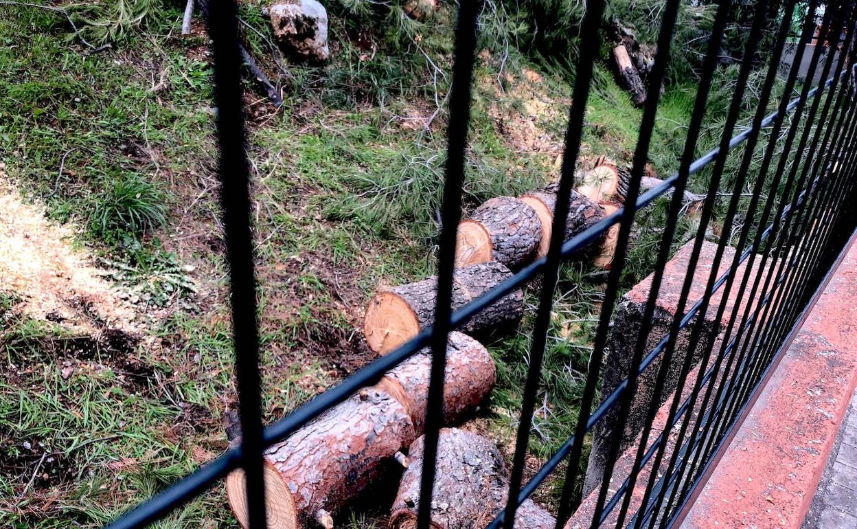 Troncos troceados, en la avenida de los Almendros de Huétor Vega.