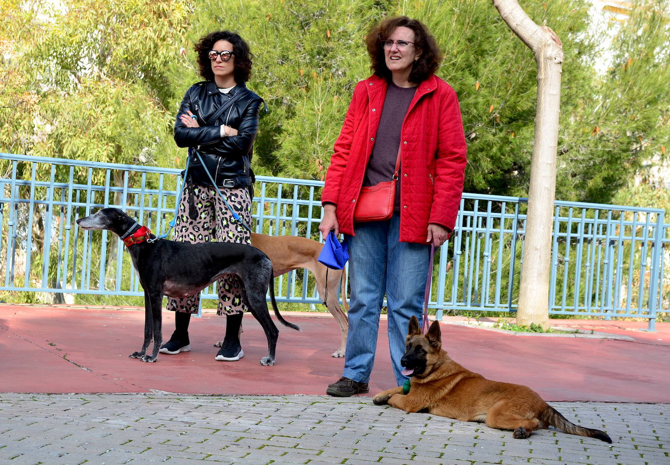 Fotos: Las mascotas de Huétor Vega dan el salto por un muicipio más limpio