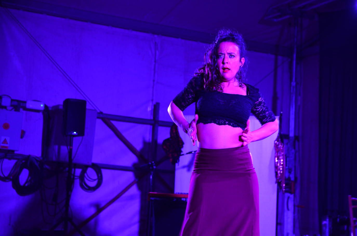 Fotos: La &#039;Noche en Morado&#039; de Monachil, Huétor y Cájar