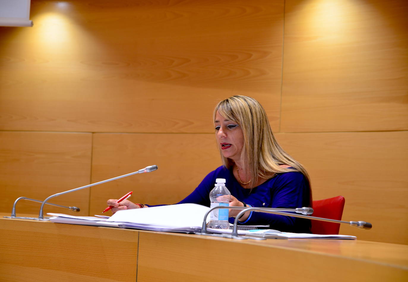 Fotos: Pleno semipresencial, en Huétor Vega