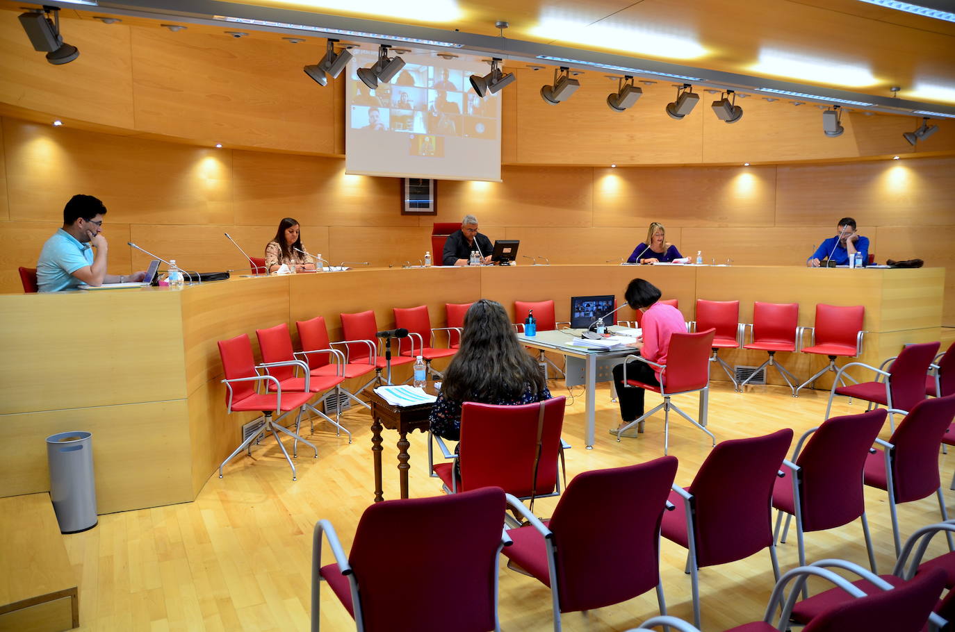 Fotos: Pleno semipresencial, en Huétor Vega