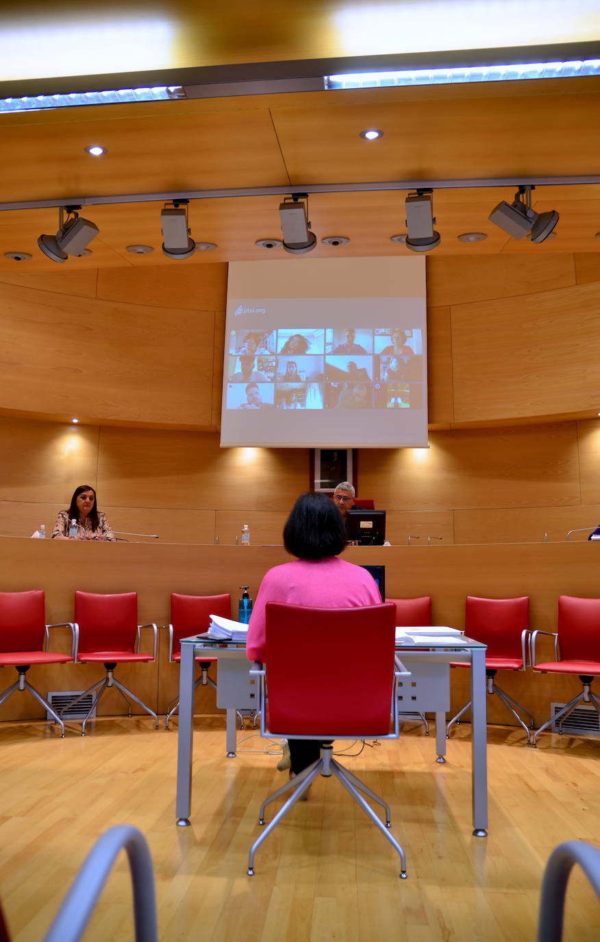 Fotos: Pleno semipresencial, en Huétor Vega