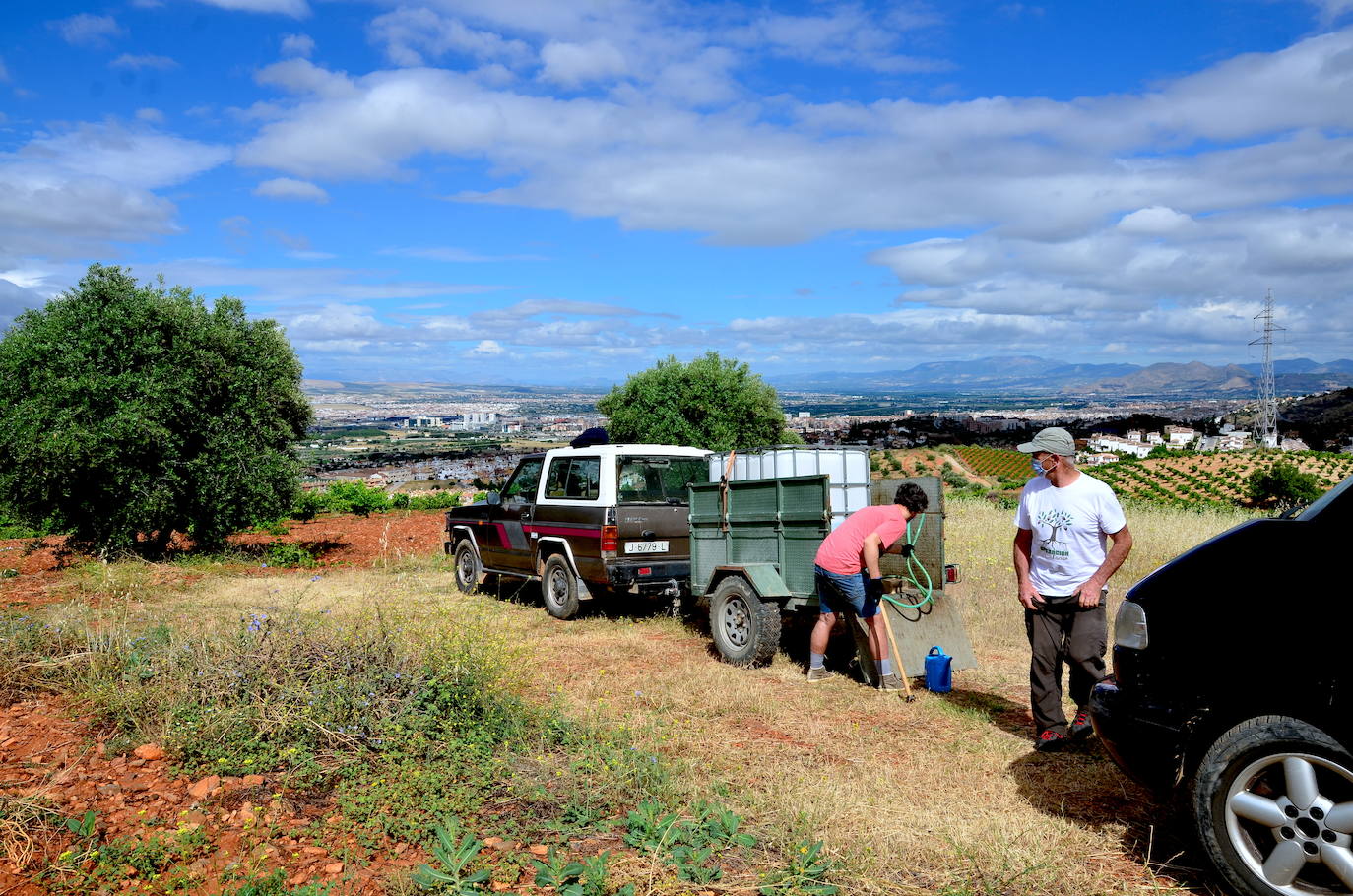 Fotos: Operación: llenar de encinas el Camino de los Neveros