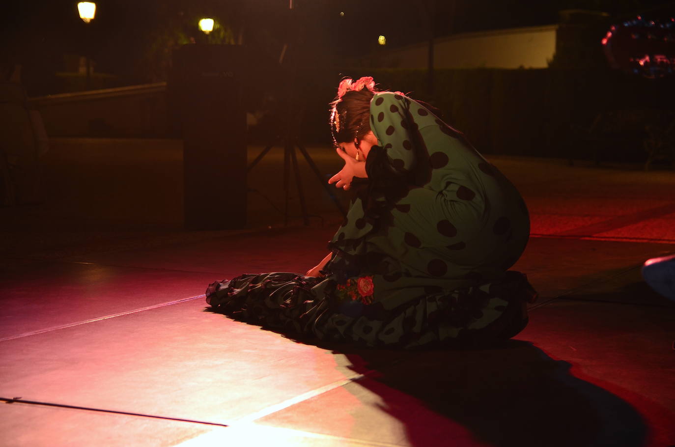 Fotos: Velada de blanco en Huétor