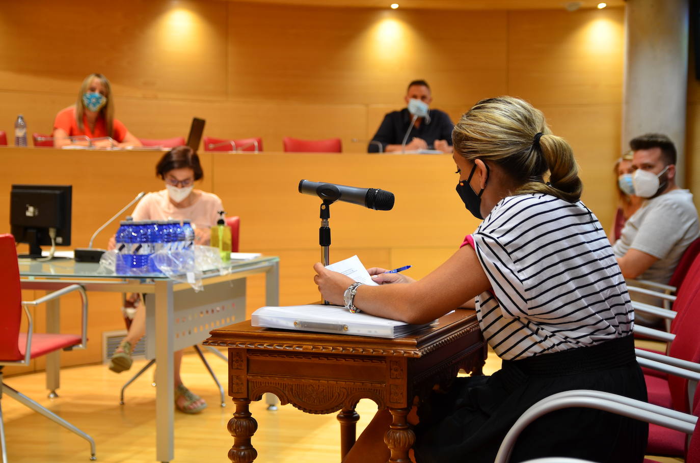 Fotos: Pleno extraordinario en Huétor Vega: modificación del uso del suelo