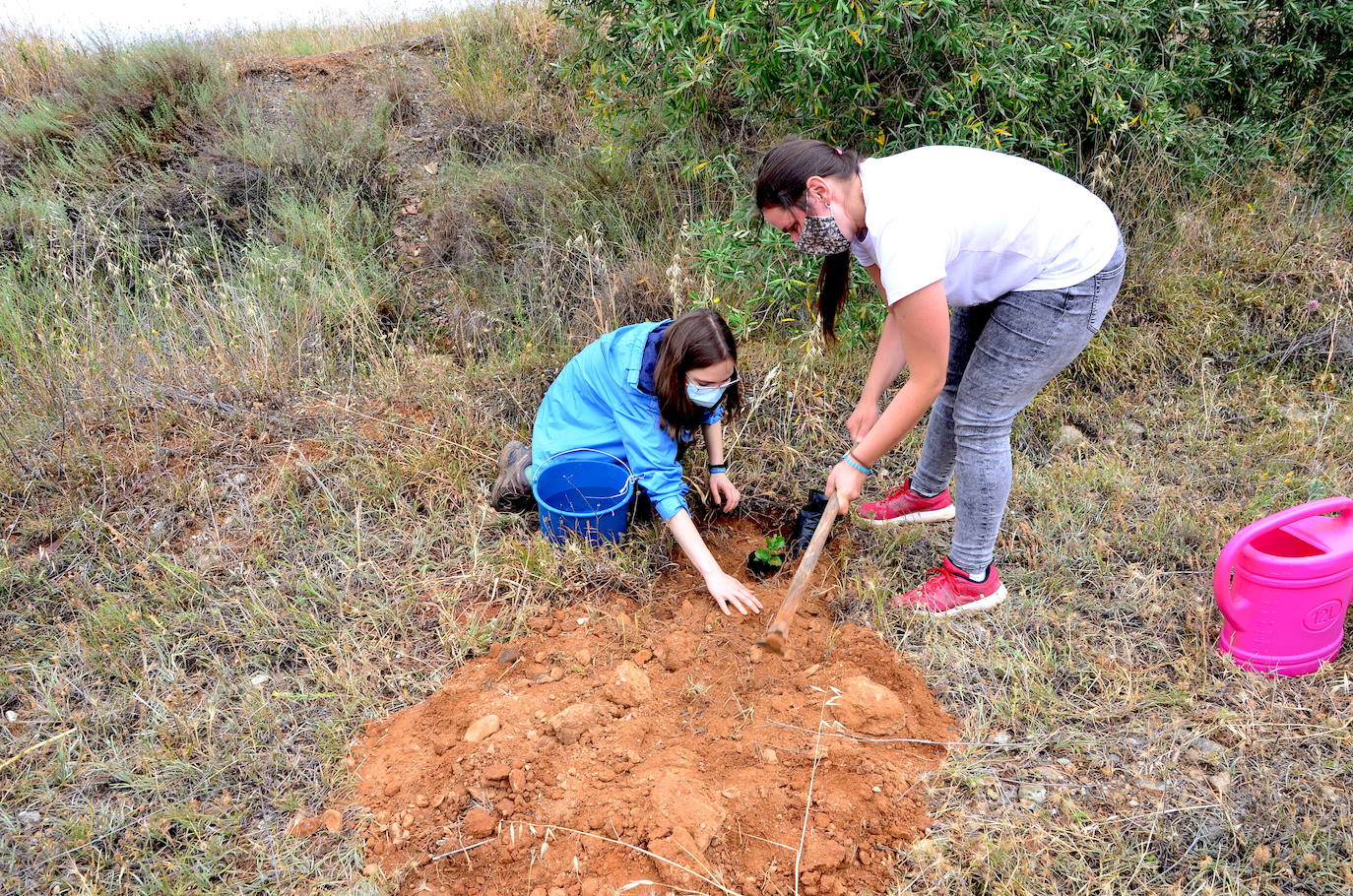 Huétor Vega se vuelca un año más en la siembra de árboles con Operación Encina.