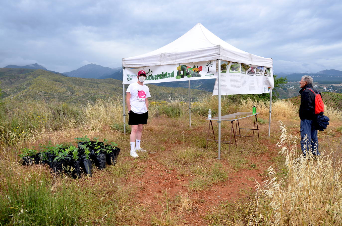 Huétor Vega se vuelca un año más en la siembra de árboles con Operación Encina.