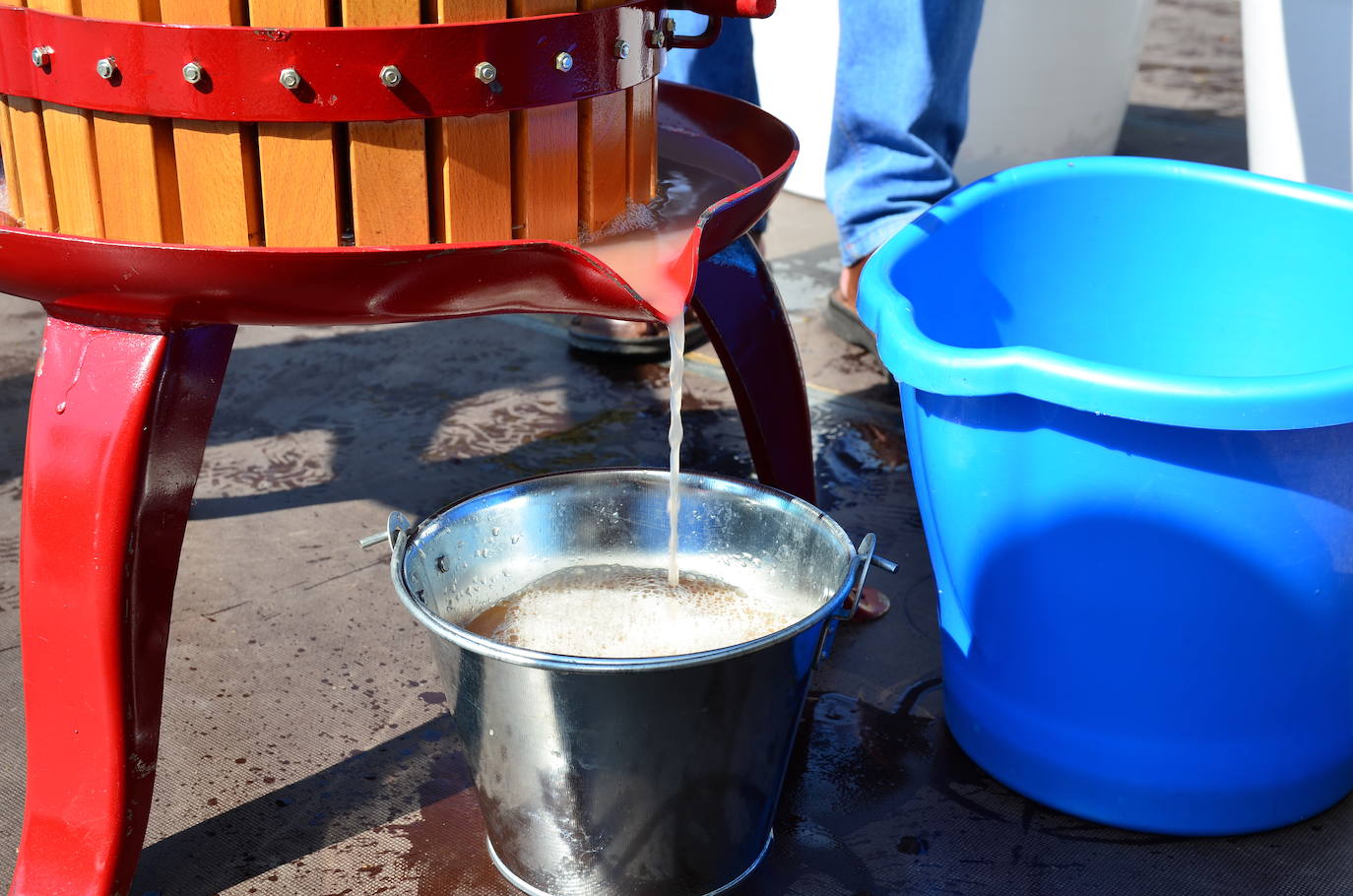 Fotos: Fiesta de la Vendimia en Huétor Vega