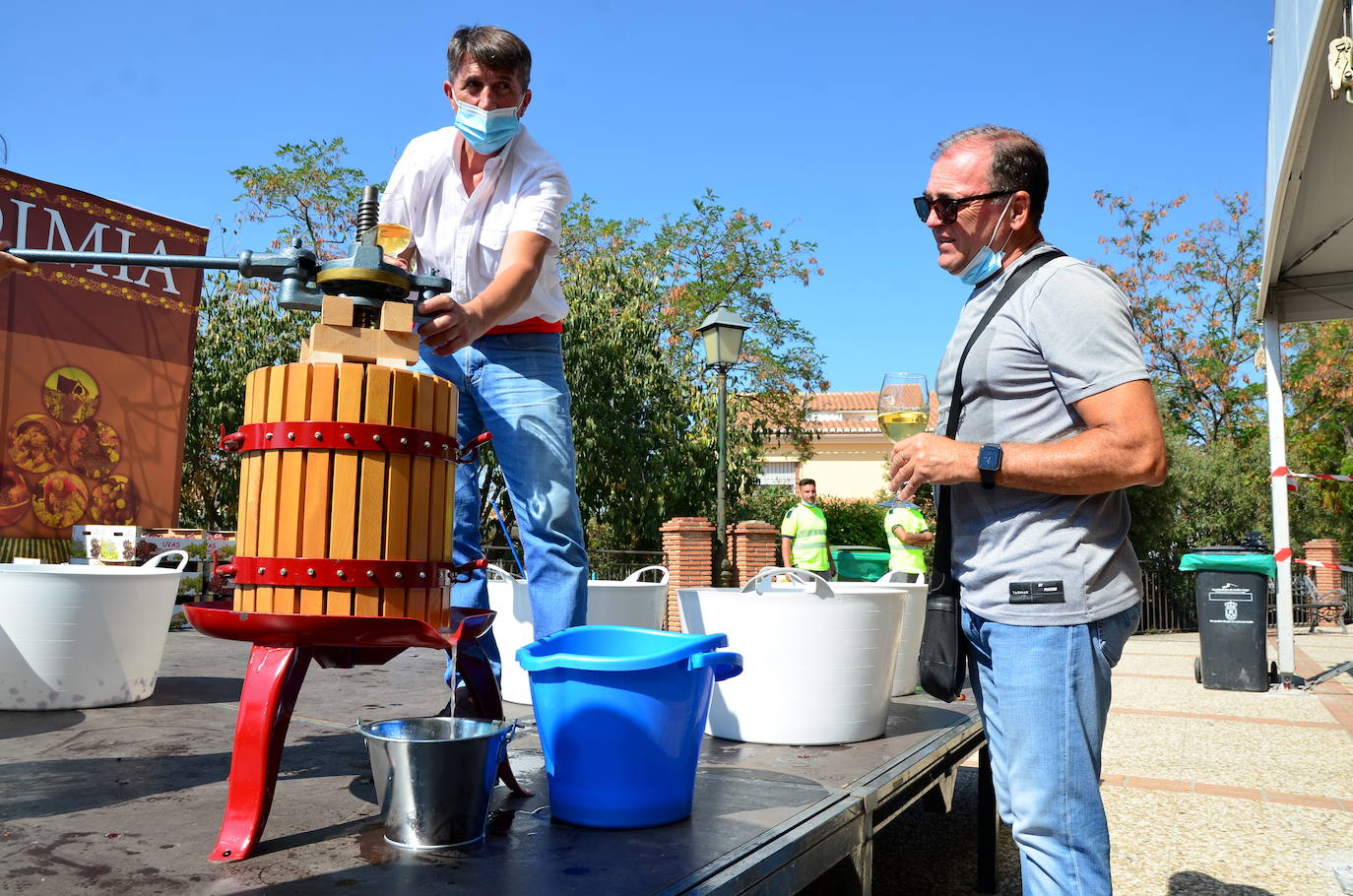 Fotos: Fiesta de la Vendimia en Huétor Vega