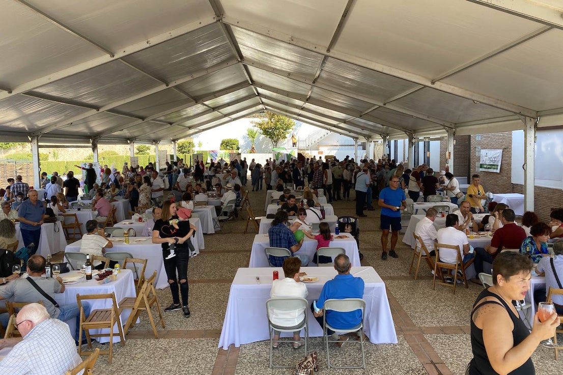 Fotos: Fiesta de la Vendimia en Huétor Vega