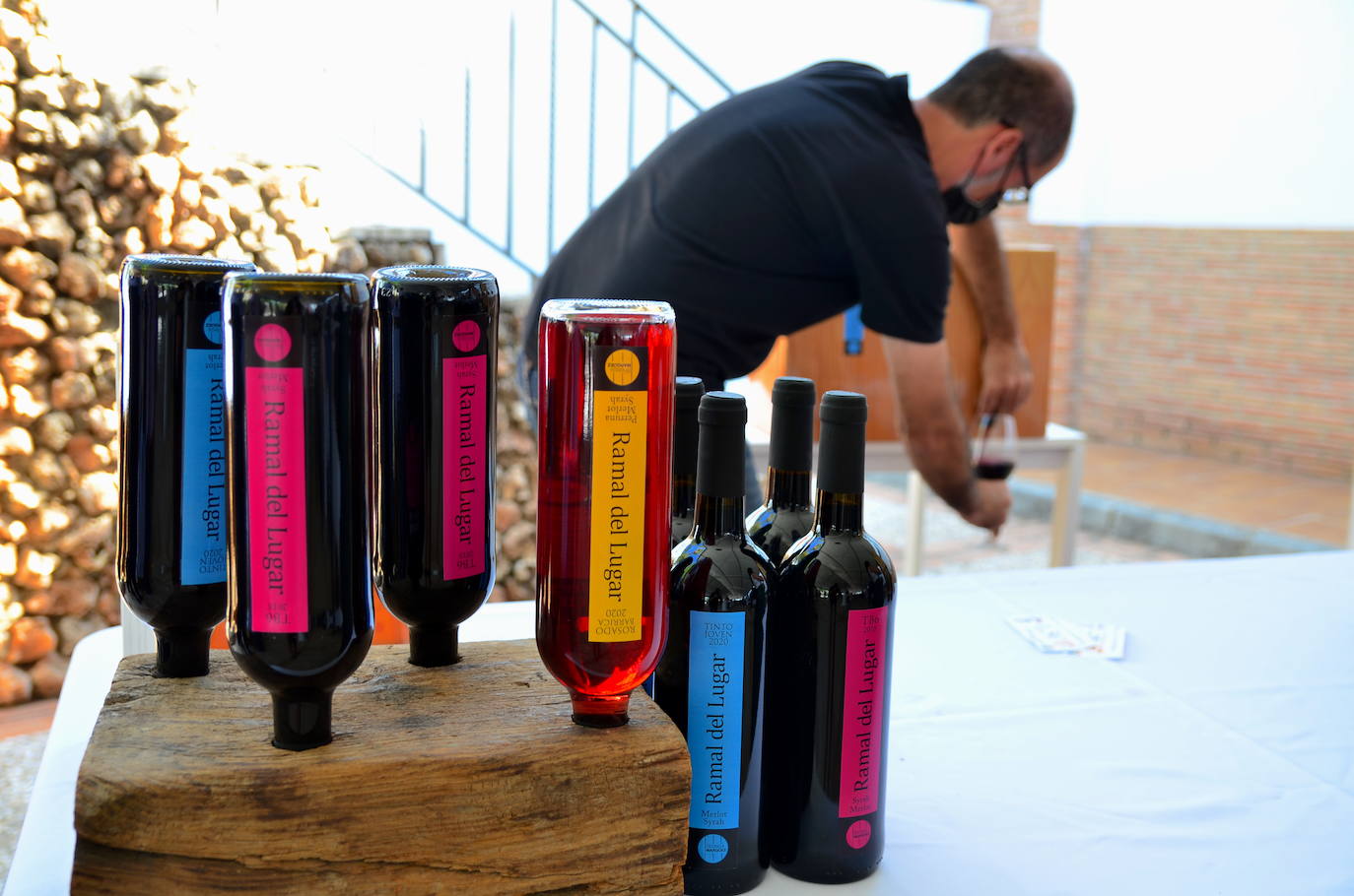 Fotos: Fiesta de la Vendimia en Huétor Vega