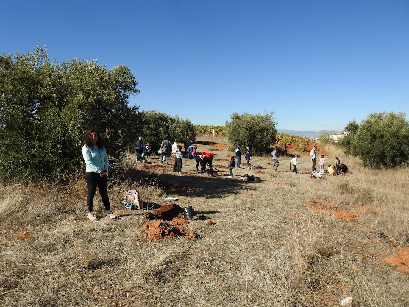 Fotos: Jornada de reforestación 'bilingüe' en Huétor Vega