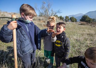 Imagen secundaria 1 - Huétor Vega: «Por cada árbol arrancado plantaremos otros diez más»