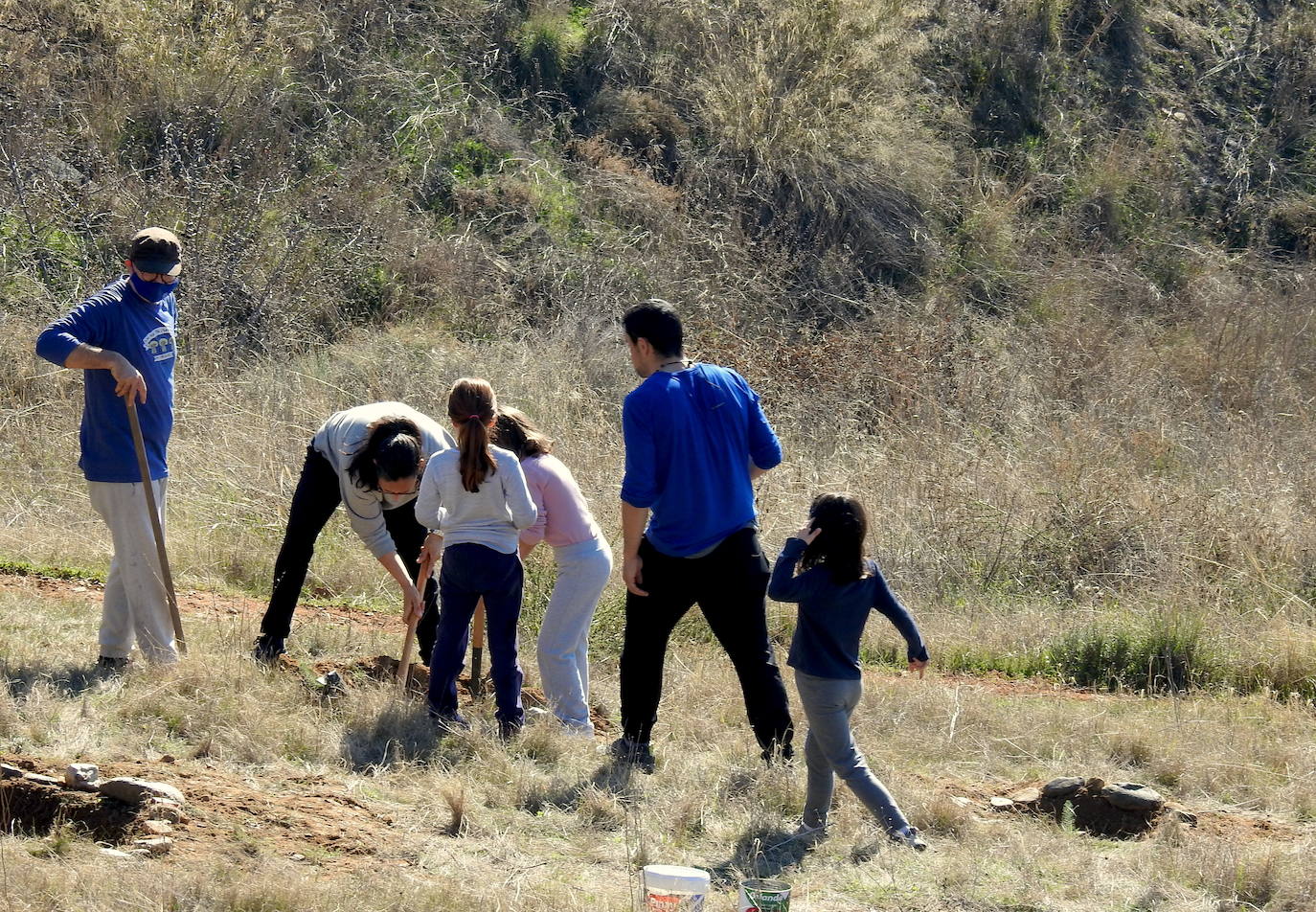 Fotos: Un centenar de personas reforestan el Camino de los Neveros