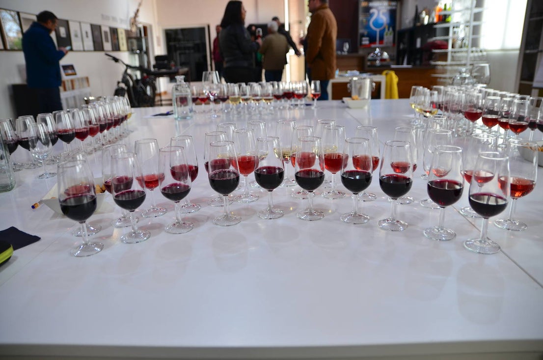 Fotos: Cata del jurado en el concurso de Vinos de Huétor