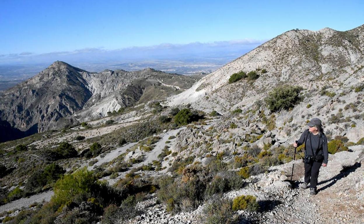 Huétor Vega propone una ruta de senderismo por los arenales del Trevenque el próximo domingo