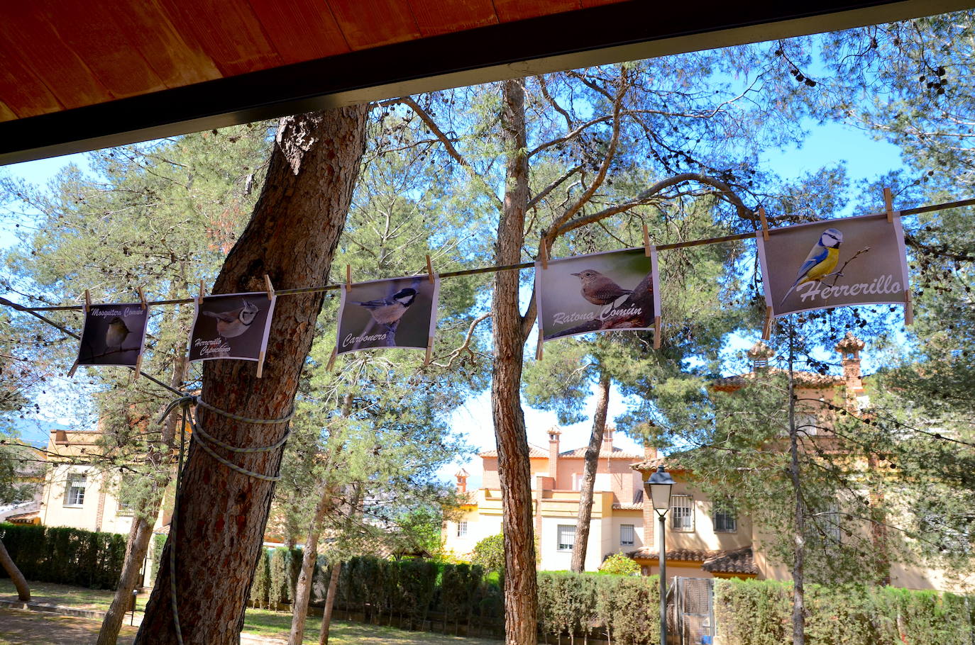 Fotos: Taller de construcción de cajas nido en el Parque de los Pinos