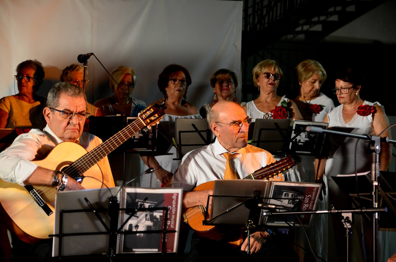 Actuación de la Agrupación de Pulso y Púa San Roque.