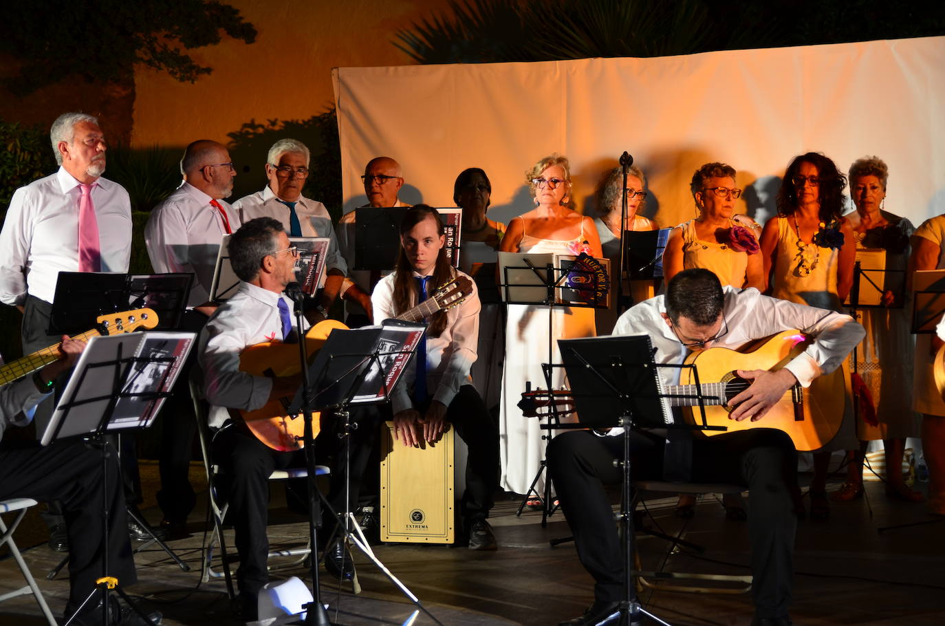 Actuación de la Agrupación de Pulso y Púa San Roque.