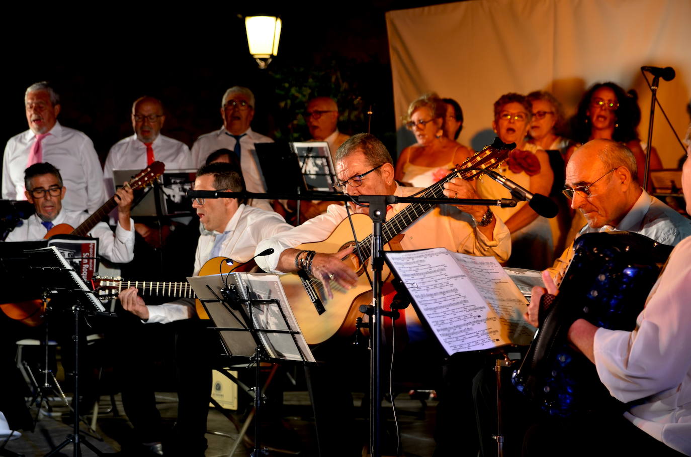 Actuación de la Agrupación de Pulso y Púa San Roque.