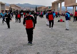 Campeonato Provincial de Tripletas, en el Ferial de Huétor Vega.