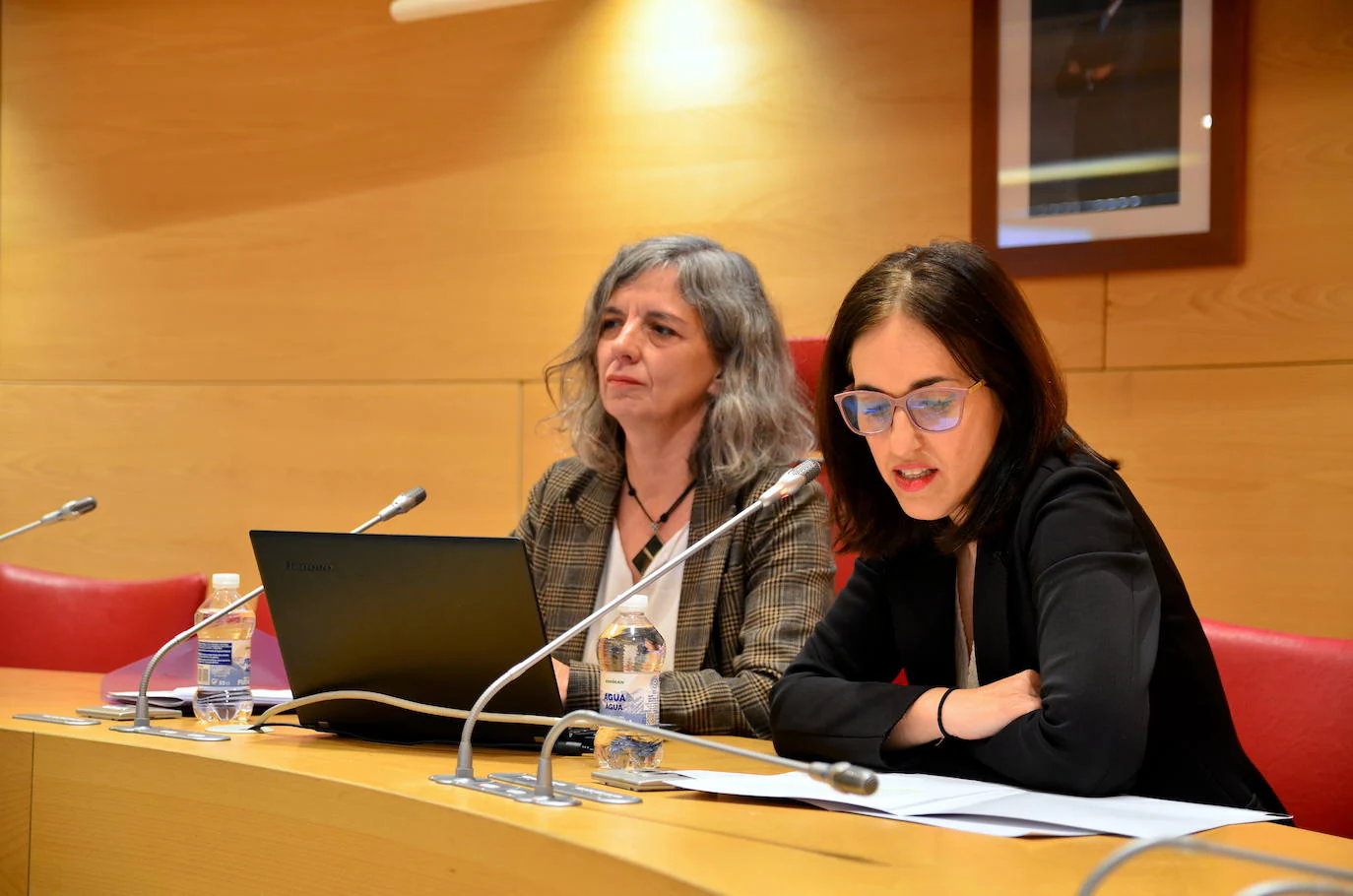 María Ángeles Jaime de Pablo, expresidenta de la Asociación de Mujeres Juristas Themis, y Paula Reyes, asesora jurídica del Centro de Información a la Mujer.