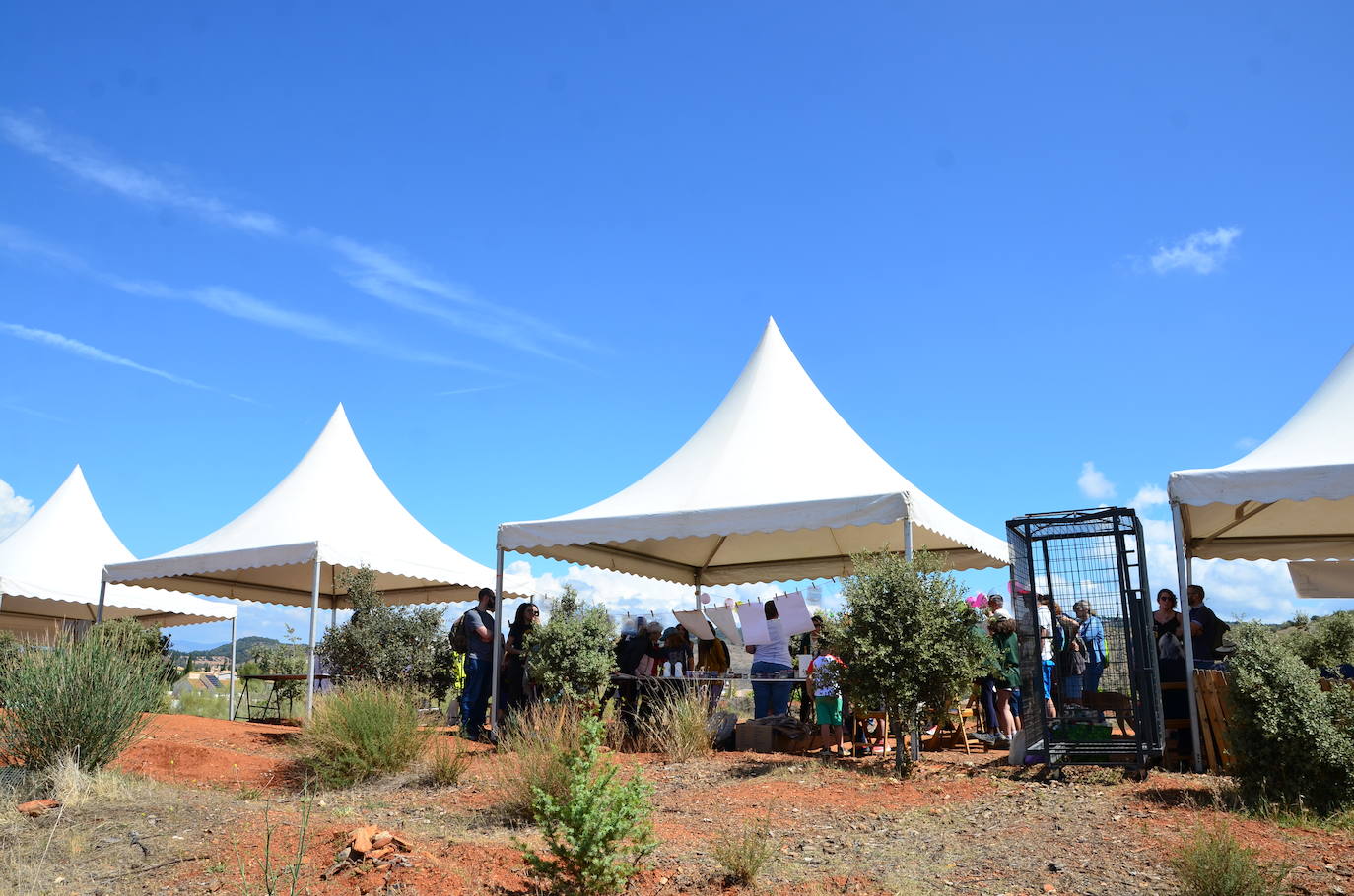 Fiesta del Día Mundial del Medio Ambiente en Huétor Vega