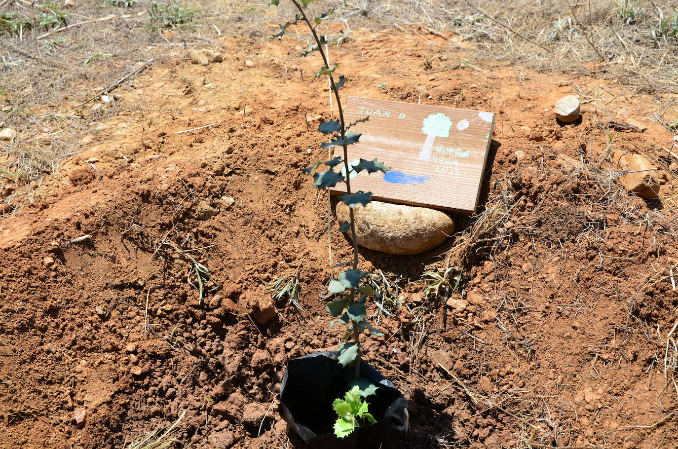 Fiesta del Día Mundial del Medio Ambiente en Huétor Vega