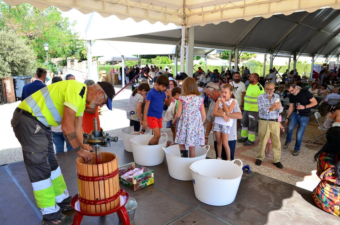 Fiesta de la Vendimia, un evento delicioso en Huétor Vega