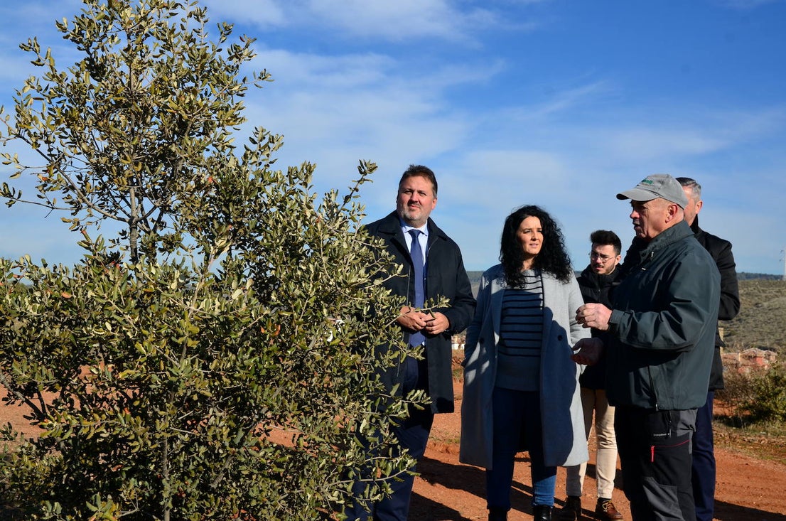 El delegado provincial de Medio Ambiente de la Junta escucha a Pepe Víbora, de Operación Encina, que atiende a diario este futuro bosque.