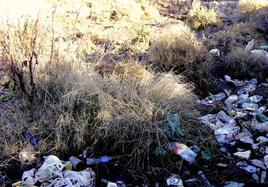 'Basuraleza': residuos generados por el ser humano y abandonados en la naturaleza.