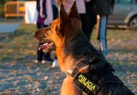 Unidad Canina de la Policía Local de Huétor Vega.