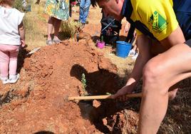 El Ayuntamiento retoma la tradición del Día del Árbol.