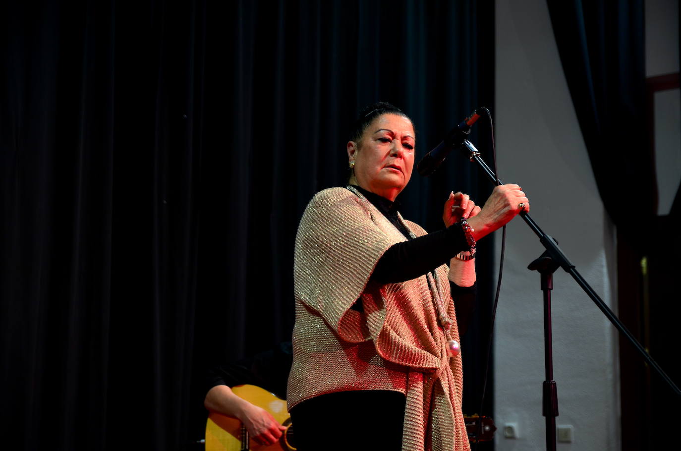 Arte a raudales y lleno en la Gala Solidaria de Huétor Vega