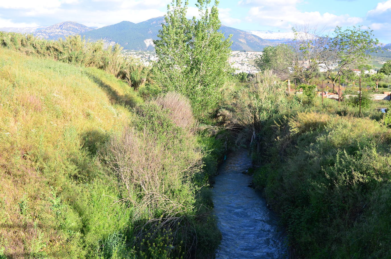 Un paseo por lo que queda de vega de Huétor