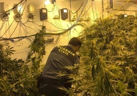 La Guardia Civil desarticula centros de producción de marihuana en Huétor Vega y Monachil