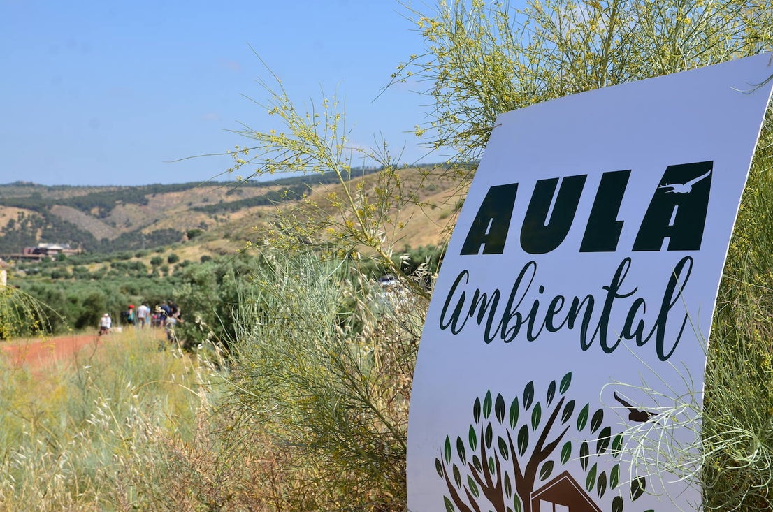 Día Mundial del Medio Ambiente: Huétor Vega vuelve a ser un ejemplo