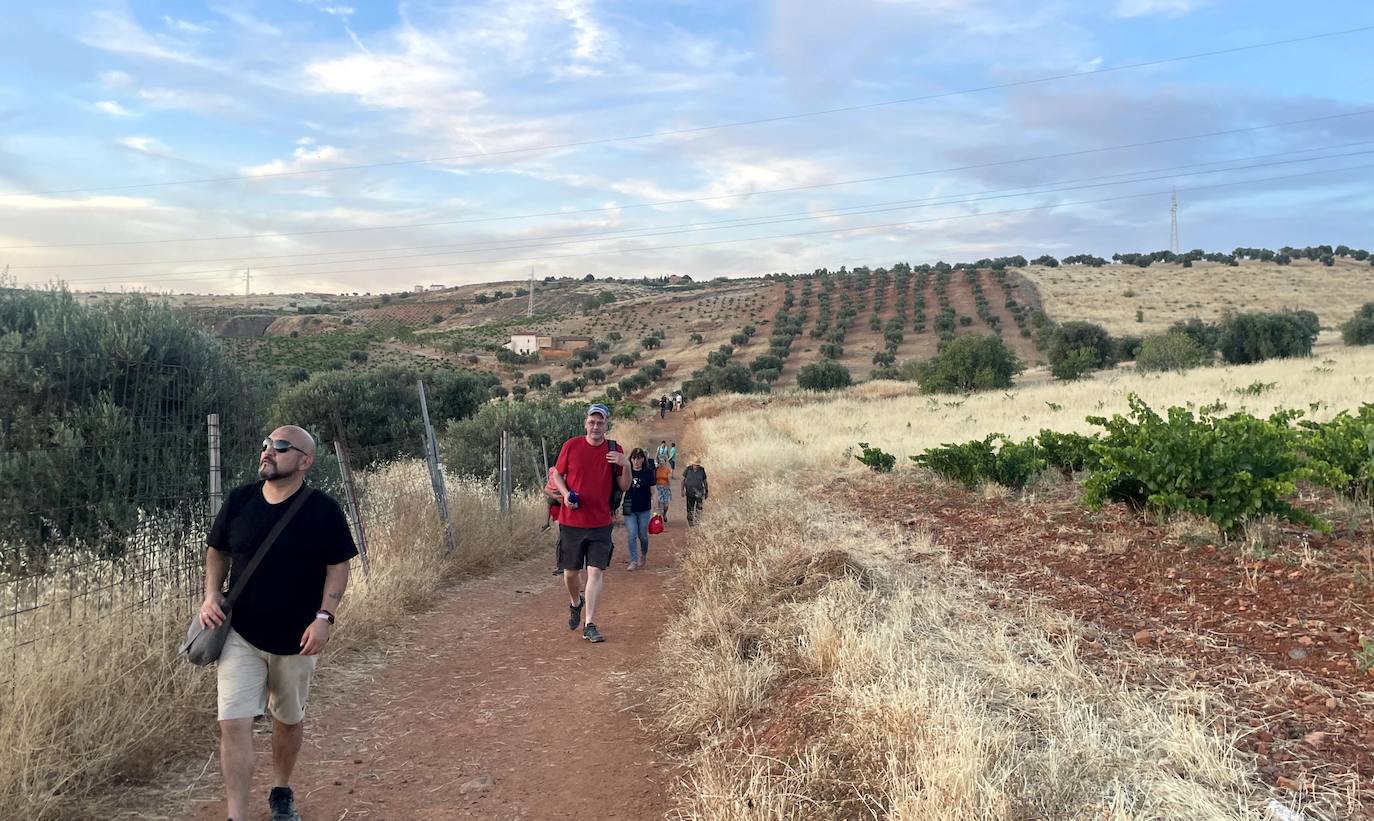 Paseo ornitológico por parajes de Huétor Vega.