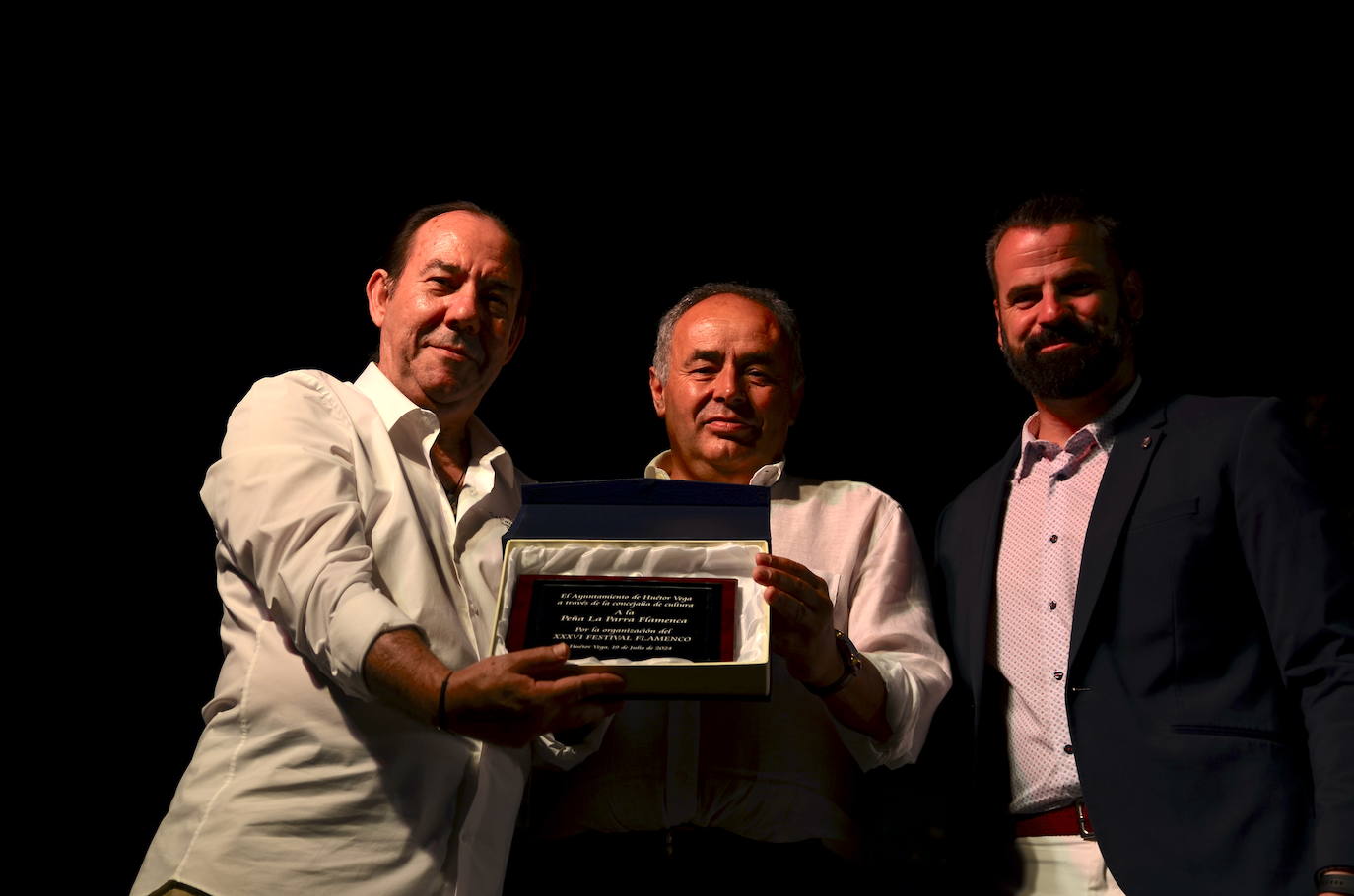 El flamenco brilla en su noche más especial en Huétor Vega