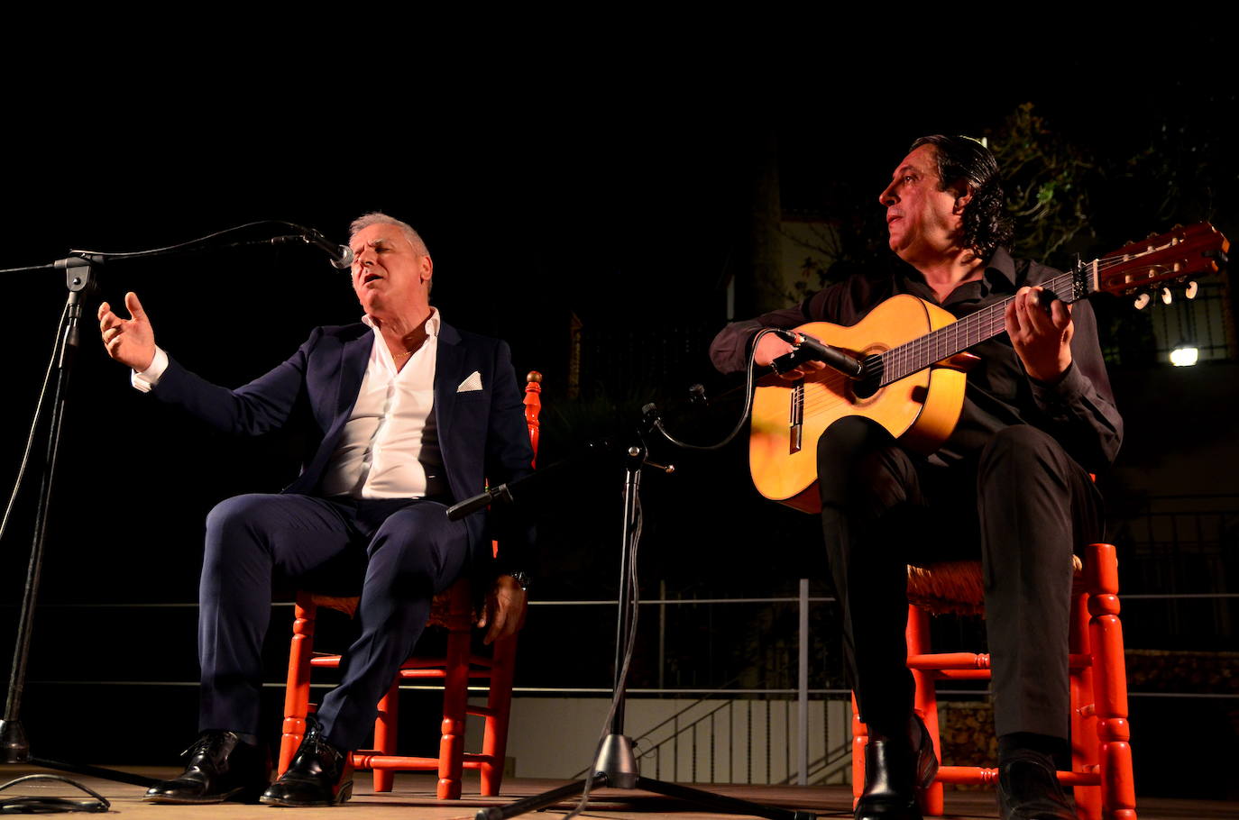 El flamenco brilla en su noche más especial en Huétor Vega