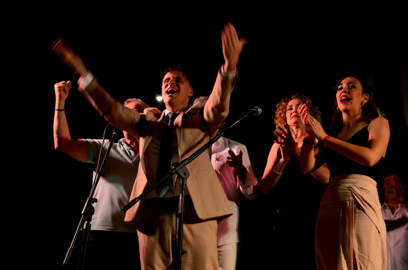 El flamenco brilla en su noche más especial en Huétor Vega
