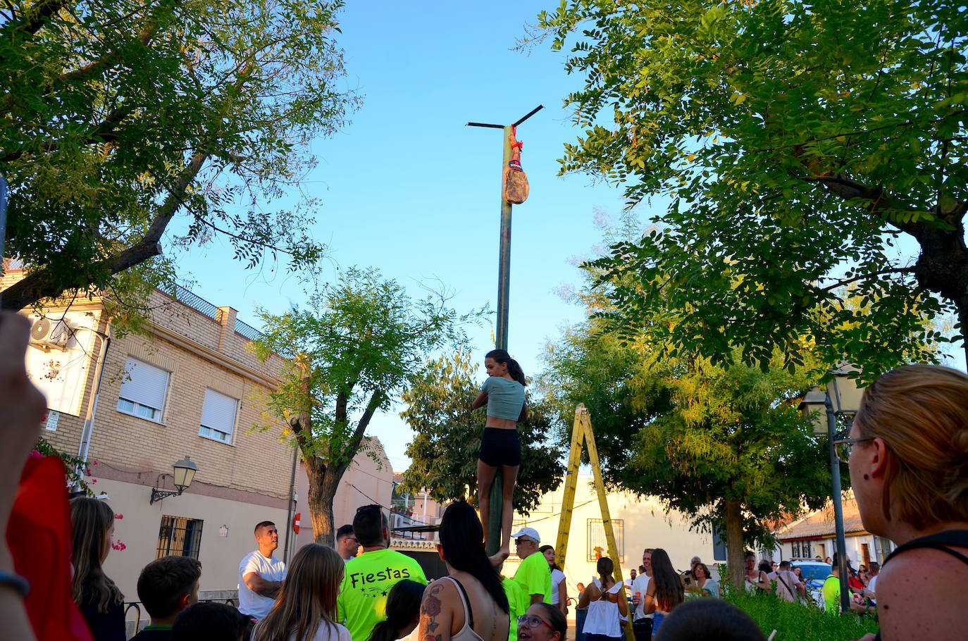 Huétor Vega vibra con su particular encierro de 'toros'