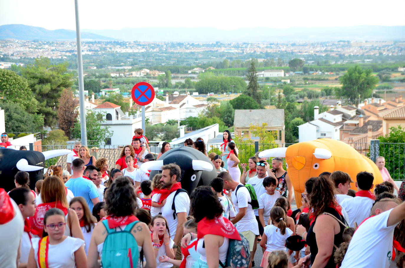 Huétor Vega vibra con su particular encierro de 'toros'
