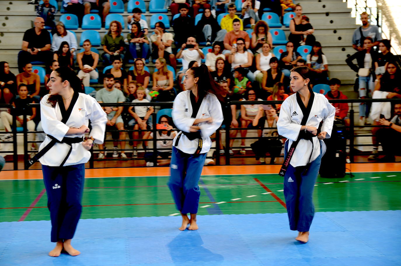 Exhibición de taekwondo en Huétor