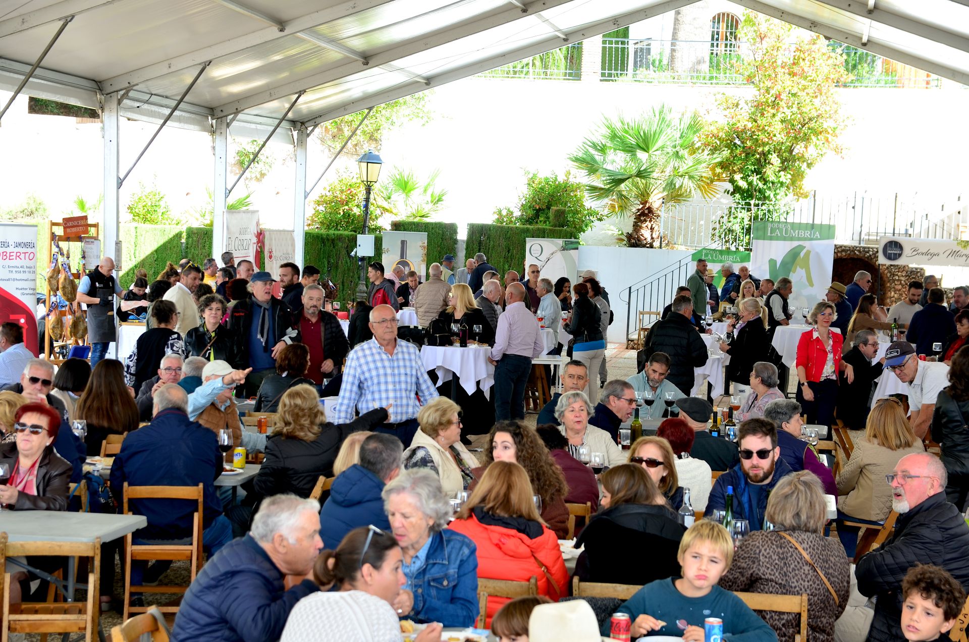 Así ha sido la novena Fiesta de la Vendimia de Huétor Vega