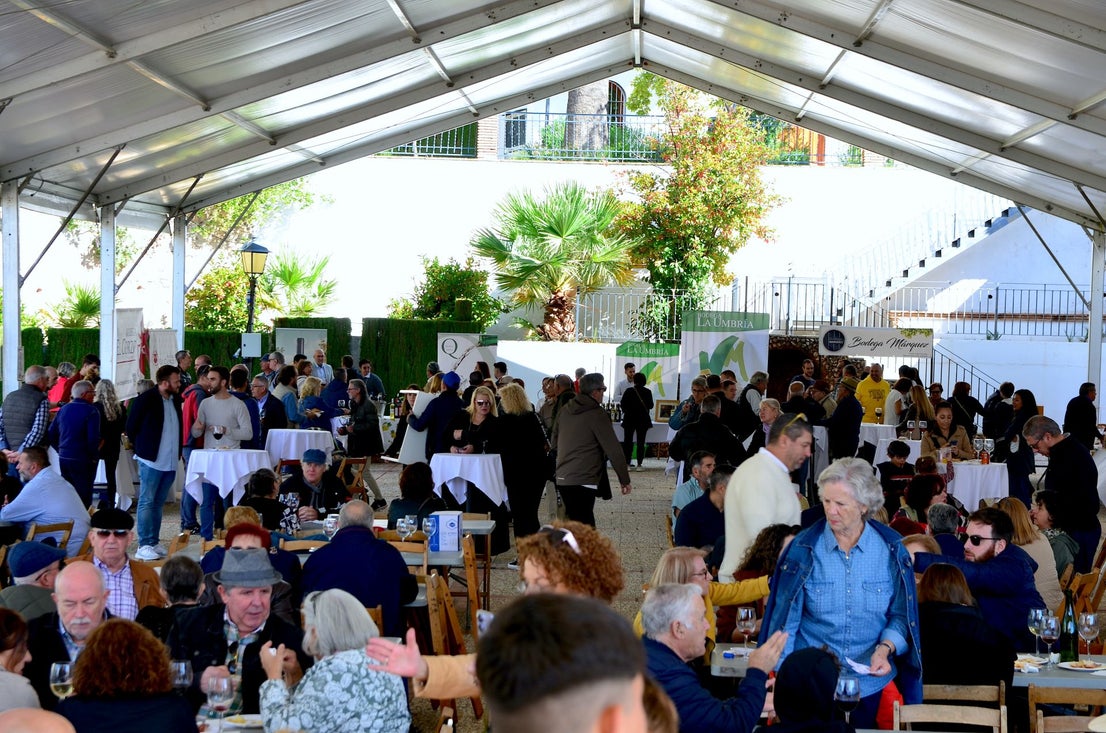 Así ha sido la novena Fiesta de la Vendimia de Huétor Vega
