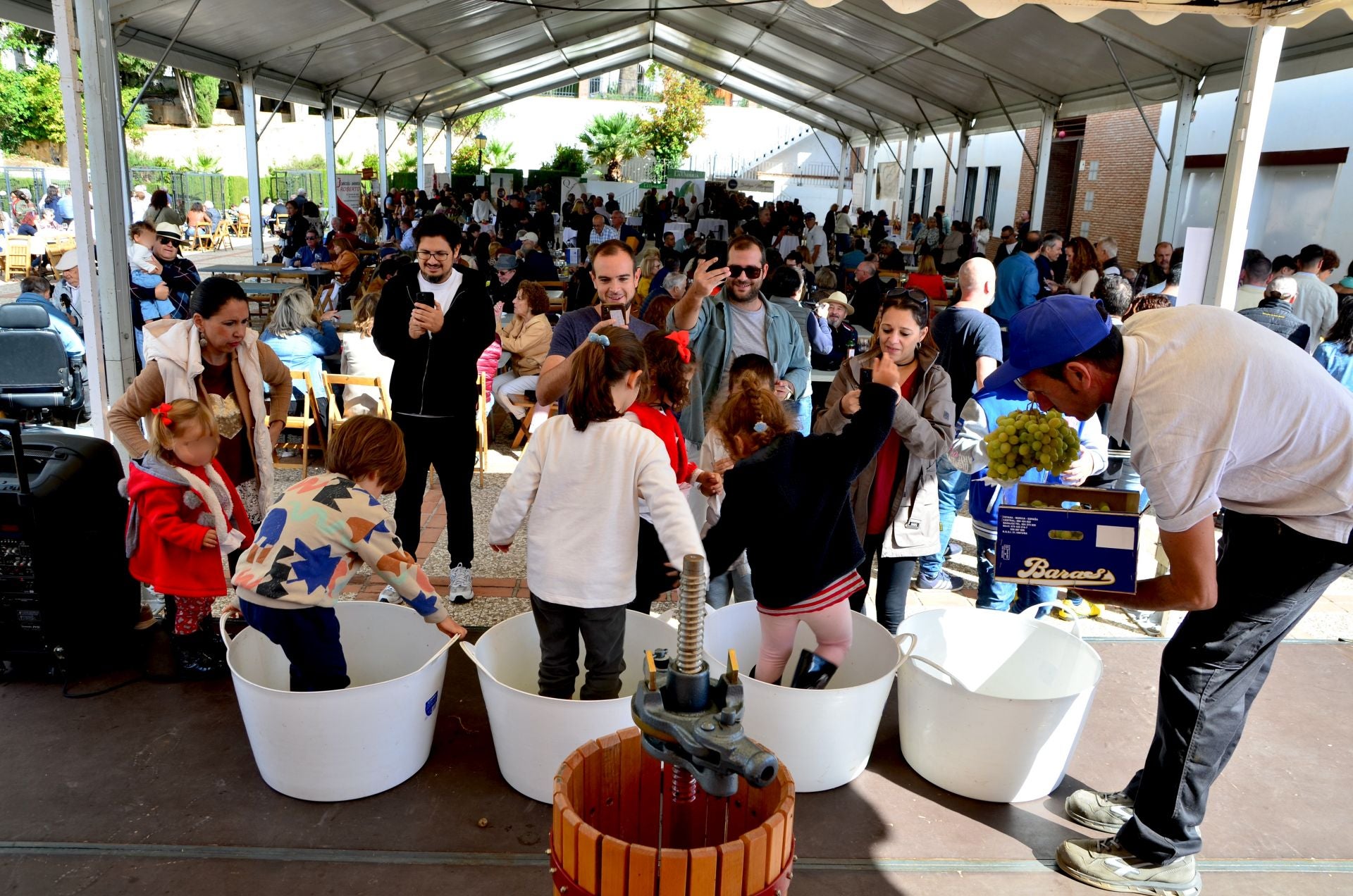 Así ha sido la novena Fiesta de la Vendimia de Huétor Vega