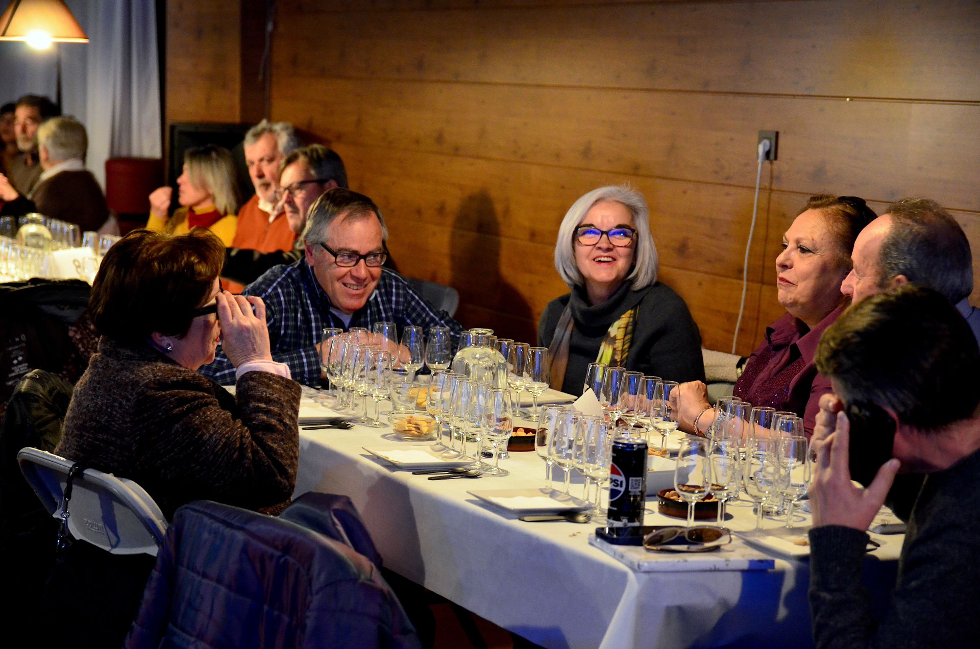 Homenaje por el 30 aniversario de las Jornadas del Vino de Huétor Vega