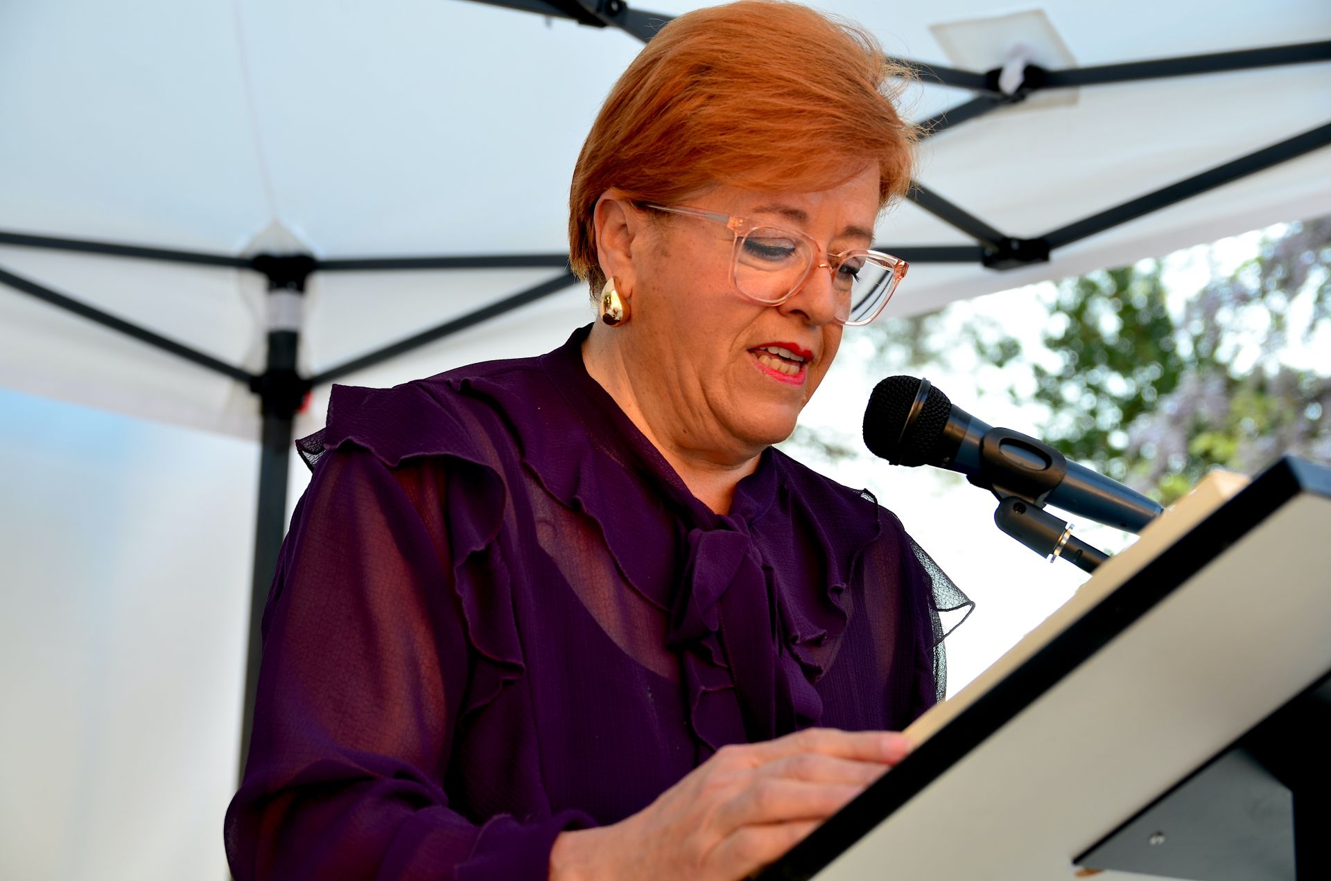 Huétor Vega lee 'El Quijote' en el Carmen de San Rafael